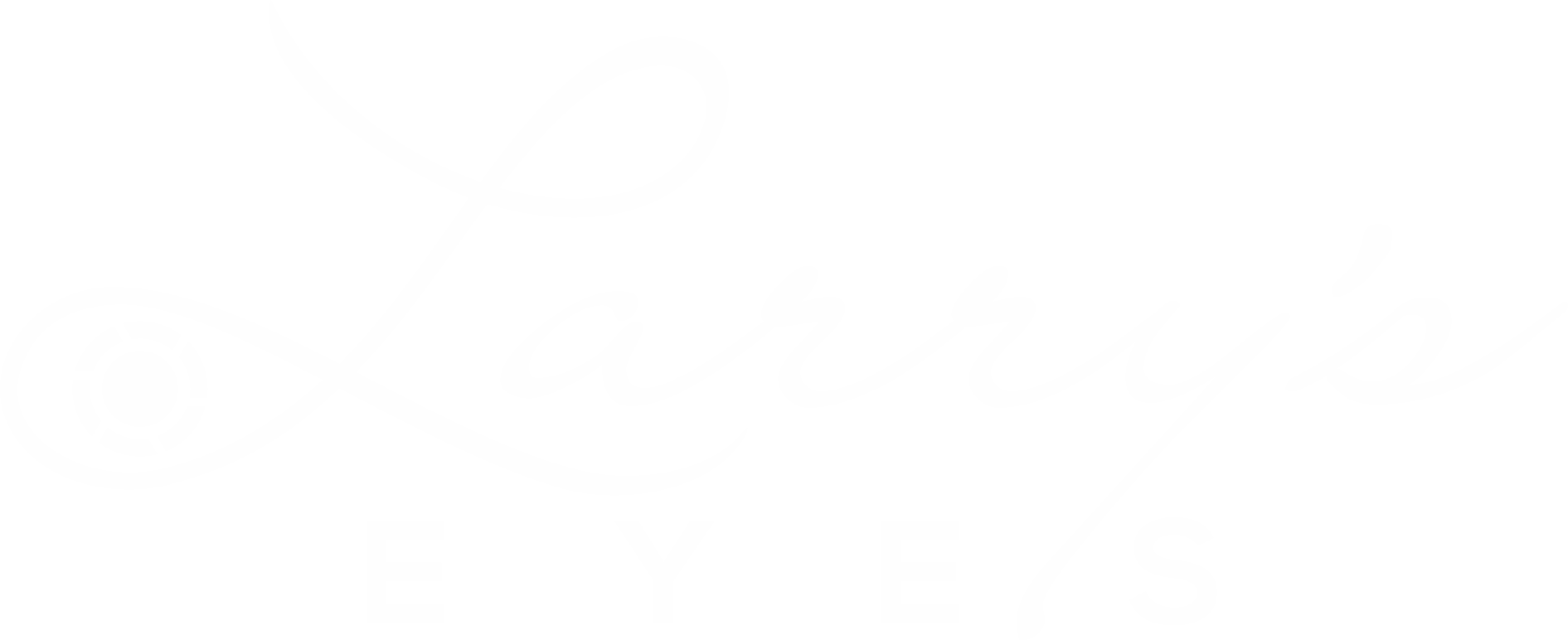Larry's Eyes