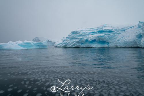 antarctica-49