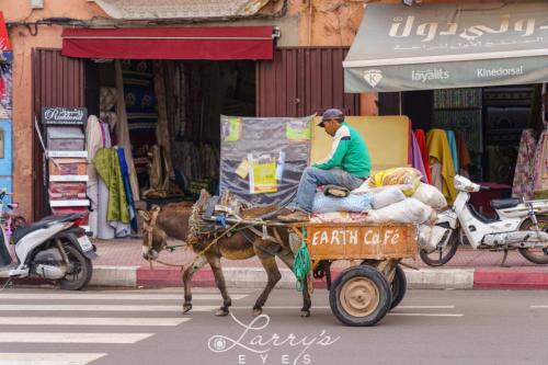 marrakesh34