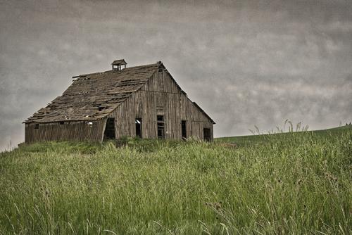 palouse1