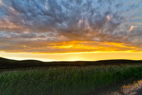 palouse10