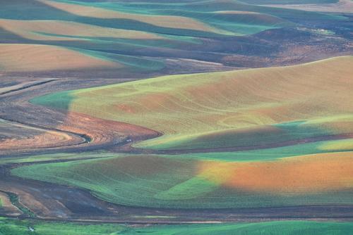 palouse13