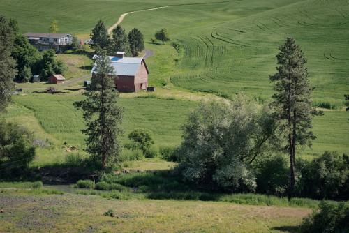 palouse18