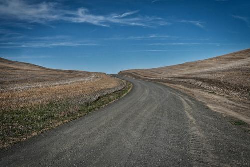 palouse19