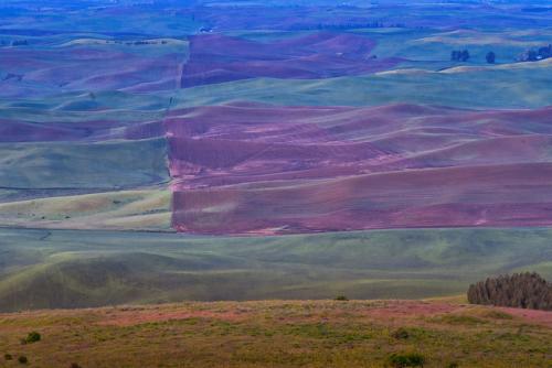 palouse2