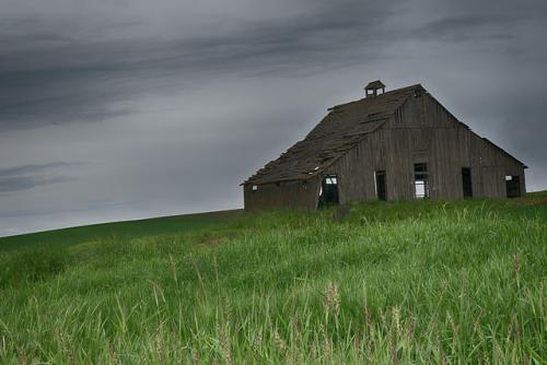 palouse20