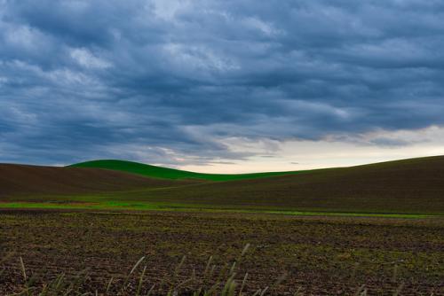 palouse23