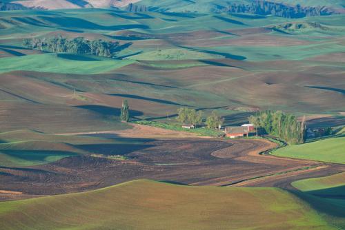 Palouse