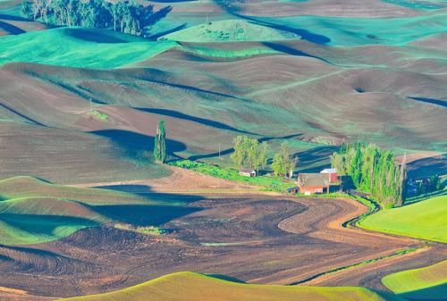 palouse26