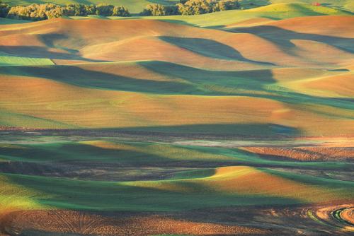 palouse27