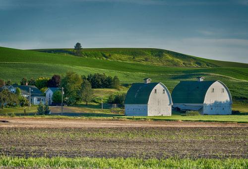 palouse28