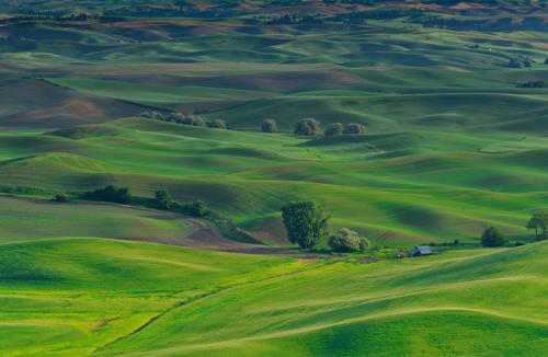 palouse29