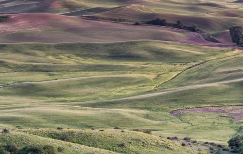 palouse3