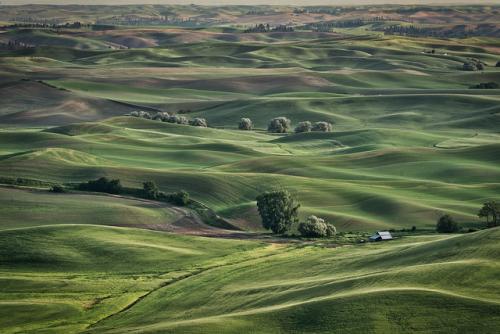 palouse30