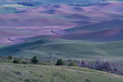 palouse32