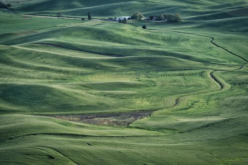 palouse33