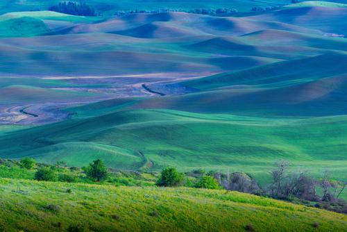 palouse4