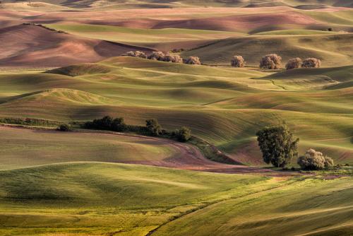 palouse5