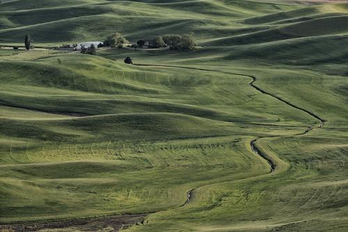 palouse6