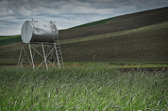 palouse8