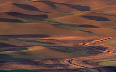 palouse9