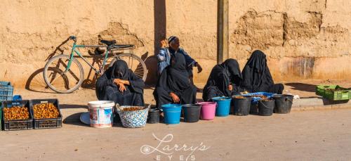 Sahara & Atlas Mountains