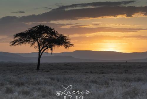 Sundown-on-the-Savanna